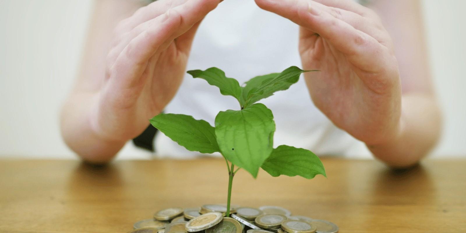 Inversiones •	Oportunidades de inversión cerca de avenidas principales